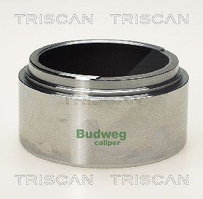 Triscan Kolben, Bremssattel [Hersteller-Nr. 8170236005] für Mercedes-Benz von TRISCAN