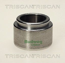 Triscan Kolben, Bremssattel [Hersteller-Nr. 8170234001] für VW von TRISCAN