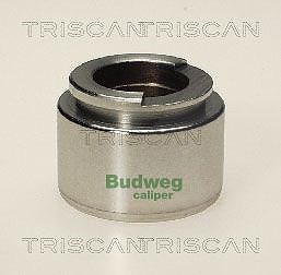 Triscan Kolben, Bremssattel [Hersteller-Nr. 8170234007] für Opel, Vauxhall von TRISCAN
