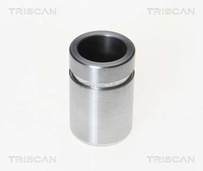 Triscan Kolben, Bremssattel [Hersteller-Nr. 8170233022] für Toyota von TRISCAN