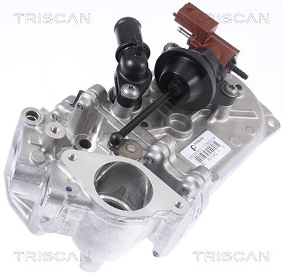 Triscan Kühler, Abgasrückführung [Hersteller-Nr. 881324104] für Opel von TRISCAN