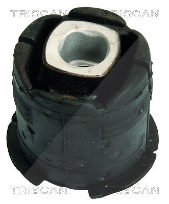 Triscan Lagerung, Achskörper [Hersteller-Nr. 850011848] für BMW von TRISCAN