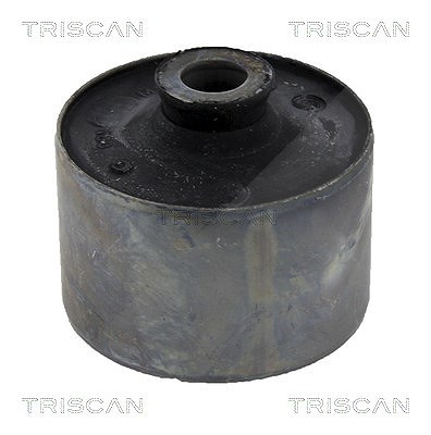 Triscan Lagerung, Achskörper [Hersteller-Nr. 850010846] für Nissan, Opel, Renault von TRISCAN