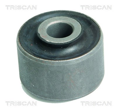 Triscan Lagerung, Lenker [Hersteller-Nr. 850012800] für Alfa Romeo von TRISCAN