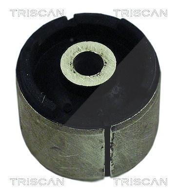 Triscan Lagerung, Lenker [Hersteller-Nr. 850011830] für BMW von TRISCAN