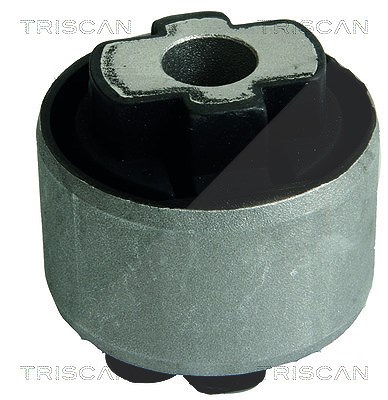 Triscan Lagerung, Lenker [Hersteller-Nr. 850010828] für Citroën, Fiat, Peugeot von TRISCAN