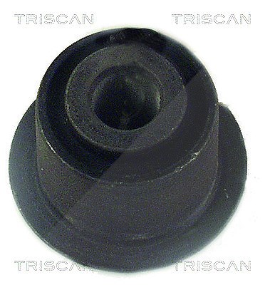 Triscan Lagerung, Lenker [Hersteller-Nr. 850028804] für Citroën, Peugeot von TRISCAN