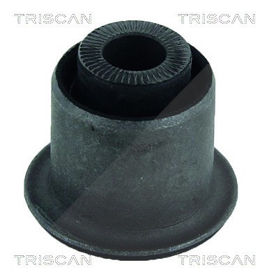 Triscan Lagerung, Lenker [Hersteller-Nr. 850025831] für Dacia, Renault von TRISCAN