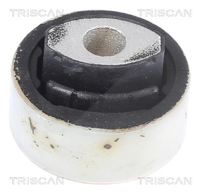 Triscan Lagerung, Lenker [Hersteller-Nr. 850015807] für Fiat von TRISCAN