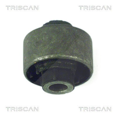 Triscan Lagerung, Lenker [Hersteller-Nr. 850016802] für Ford von TRISCAN