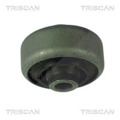 Triscan Lagerung, Lenker [Hersteller-Nr. 850016805] für Ford von TRISCAN
