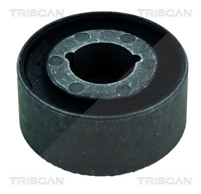Triscan Lagerung, Lenker [Hersteller-Nr. 850023849] für Mercedes-Benz von TRISCAN