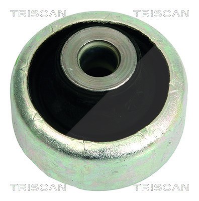 Triscan Lagerung, Lenker [Hersteller-Nr. 850010823] für Renault von TRISCAN