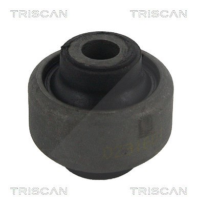Triscan Lagerung, Lenker [Hersteller-Nr. 850028808] für Peugeot von TRISCAN