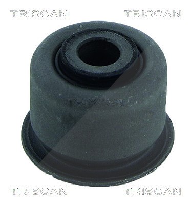 Triscan Lagerung, Lenker [Hersteller-Nr. 850028842] für Peugeot von TRISCAN