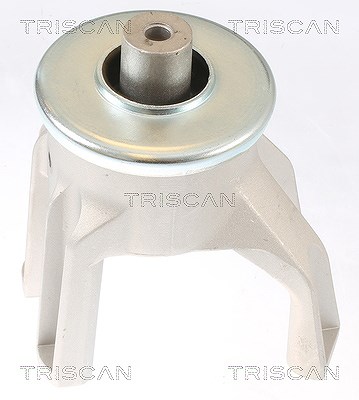 Triscan Lagerung, Motor [Hersteller-Nr. 850529187] für VW von TRISCAN