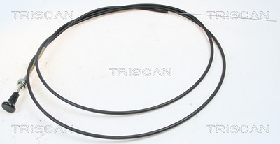 Triscan Luftklappenwelle, Vergaser [Hersteller-Nr. 814091003] von TRISCAN