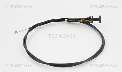 Triscan Luftklappenwelle, Vergaser [Hersteller-Nr. 814025503] für Renault von TRISCAN