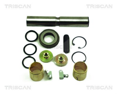 Triscan Reparatursatz, Achsschenkelbolzen [Hersteller-Nr. 85002362] für Mercedes-Benz von TRISCAN