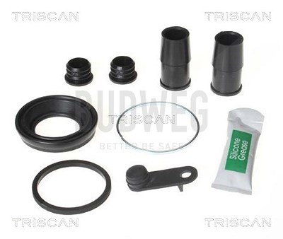 Triscan Reparatursatz, Bremssattel [Hersteller-Nr. 8170203821] für BMW von TRISCAN