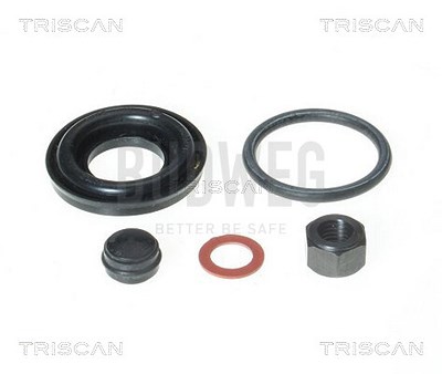 Triscan Reparatursatz, Bremssattel [Hersteller-Nr. 8170203201] für Renault von TRISCAN