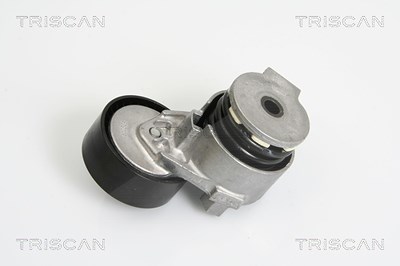 Triscan Riemenspanner, Keilrippenriemen [Hersteller-Nr. 8641253007] für Dacia, Lada, Nissan, Renault von TRISCAN
