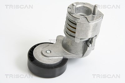 Triscan Riemenspanner, Keilrippenriemen [Hersteller-Nr. 8641103024] für Ford, Volvo von TRISCAN