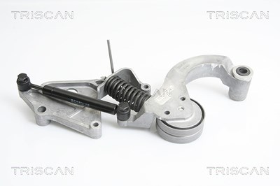 Triscan Riemenspanner, Keilrippenriemen [Hersteller-Nr. 8641113031] für Mini von TRISCAN