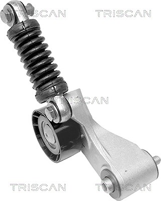 Triscan Riemenspanner, Keilrippenriemen [Hersteller-Nr. 8641103009] für Mitsubishi, Renault, Volvo von TRISCAN