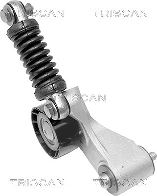 Triscan Riemenspanner, Keilrippenriemen [Hersteller-Nr. 8641103009] für Mitsubishi, Renault, Volvo von TRISCAN