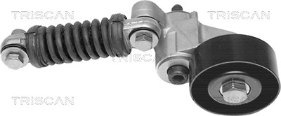 Triscan Riemenspanner, Keilrippenriemen [Hersteller-Nr. 8641253001] für Renault von TRISCAN