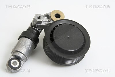 Triscan Riemenspanner, Keilrippenriemen [Hersteller-Nr. 8641293030] für VW von TRISCAN
