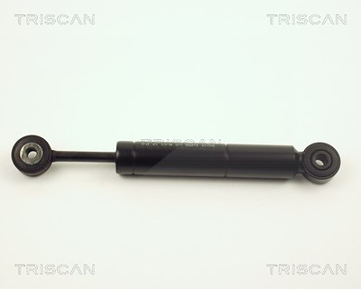 Triscan Schwingungsdämpfer, Keilrippenriemen [Hersteller-Nr. 87102314] für Mercedes-Benz von TRISCAN