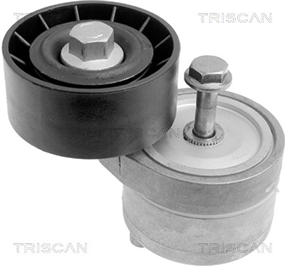 Triscan Spannarm, Keilrippenriemen [Hersteller-Nr. 8641153002] für Alfa Romeo, Fiat, Lancia von TRISCAN