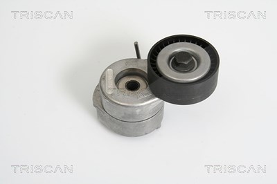 Triscan Spannarm, Keilrippenriemen [Hersteller-Nr. 8641103019] für Alfa Romeo, Chevrolet, Fiat, Opel, Suzuki, Vauxhall von TRISCAN