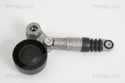 Triscan Spannarm, Keilrippenriemen [Hersteller-Nr. 8641123002] für Alfa Romeo von TRISCAN