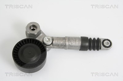 Triscan Spannarm, Keilrippenriemen Alfa romeo: Spider, Brera, 159 8641123002 Triscan Spannarm, Keilrippenriemen Alfa romeo: Spider, Brera, 159 8641123002 von TRISCAN