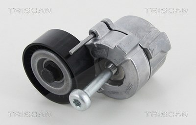 Triscan Spannarm, Keilrippenriemen [Hersteller-Nr. 8641103034] für Alfa Romeo, Cadillac, Fiat, Lancia, Opel, Saab, Suzuki von TRISCAN