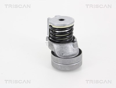 Triscan Spannarm, Keilrippenriemen [Hersteller-Nr. 8641293035] für Audi, Seat, Skoda, VW von TRISCAN
