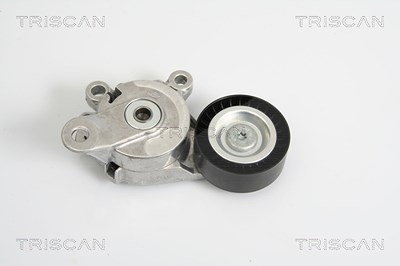 Triscan Spannarm, Keilrippenriemen [Hersteller-Nr. 8641293019] für Audi, Seat, Skoda, VW von TRISCAN