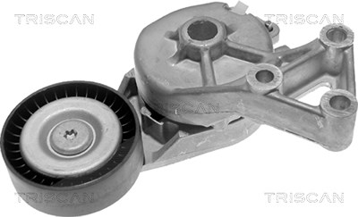 Triscan Spannarm, Keilrippenriemen [Hersteller-Nr. 8641103006] für Audi, Ford, Seat, Skoda, VW von TRISCAN