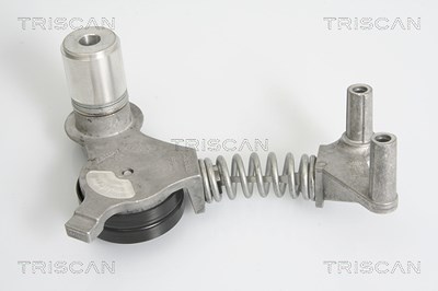 Triscan Spannarm, Keilrippenriemen [Hersteller-Nr. 8641293023] für Audi von TRISCAN