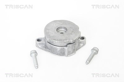 Triscan Spannarm, Keilrippenriemen [Hersteller-Nr. 8641293012] für Audi, Ford, Seat, VW von TRISCAN