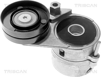 Triscan Spannarm, Keilrippenriemen [Hersteller-Nr. 8641293008] für Audi, Skoda, VW von TRISCAN