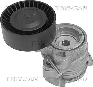 Triscan Spannarm, Keilrippenriemen [Hersteller-Nr. 8641113014] für BMW, Rolls-royce von TRISCAN