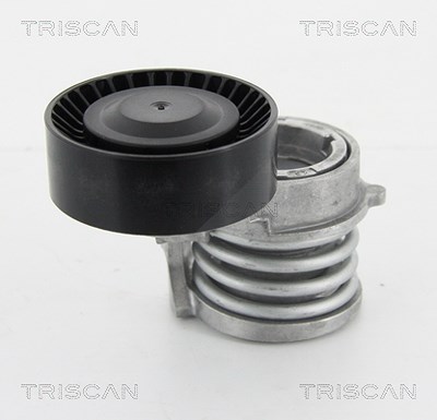 Triscan Spannarm, Keilrippenriemen [Hersteller-Nr. 8641113016] für BMW von TRISCAN