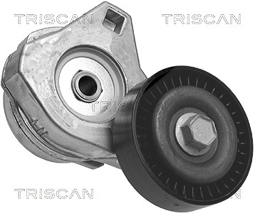Triscan Spannarm, Keilrippenriemen [Hersteller-Nr. 8641803001] für Chrysler von TRISCAN
