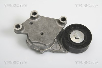 Triscan Spannarm, Keilrippenriemen [Hersteller-Nr. 8641103014] für Citroën, Ford, Mazda, Peugeot, Suzuki, Toyota, Volvo von TRISCAN