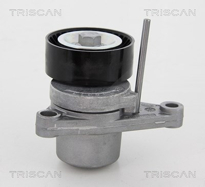 Triscan Spannarm, Keilrippenriemen [Hersteller-Nr. 8641283003] für Citroën, Peugeot von TRISCAN