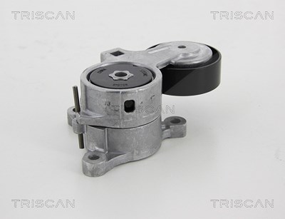 Triscan Spannarm, Keilrippenriemen [Hersteller-Nr. 8641283008] für Citroën, Peugeot von TRISCAN